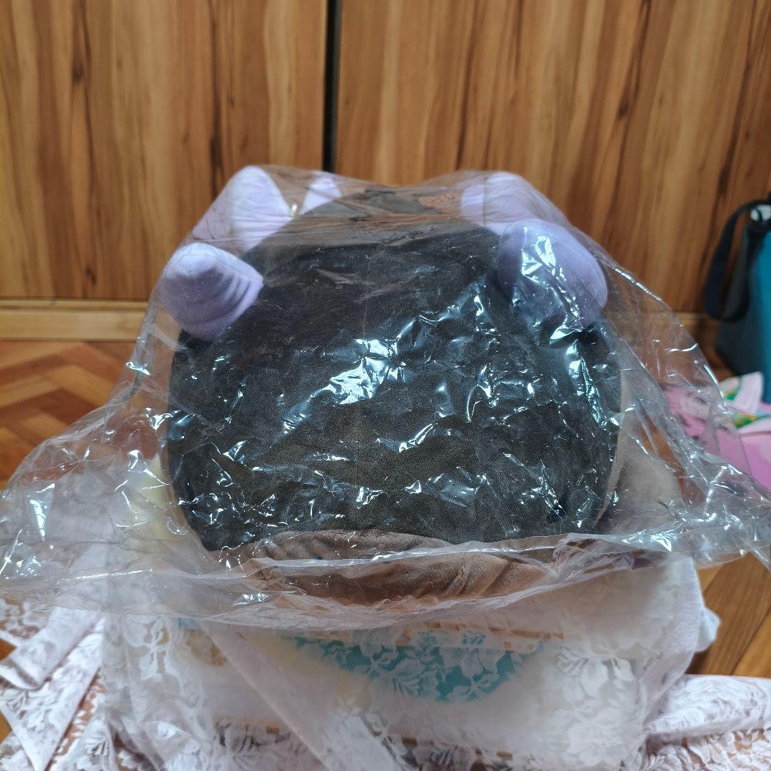 おっきいもっちりぬいぐるみモウドクキケンドオータグ付き新品未開封ポケセン限定