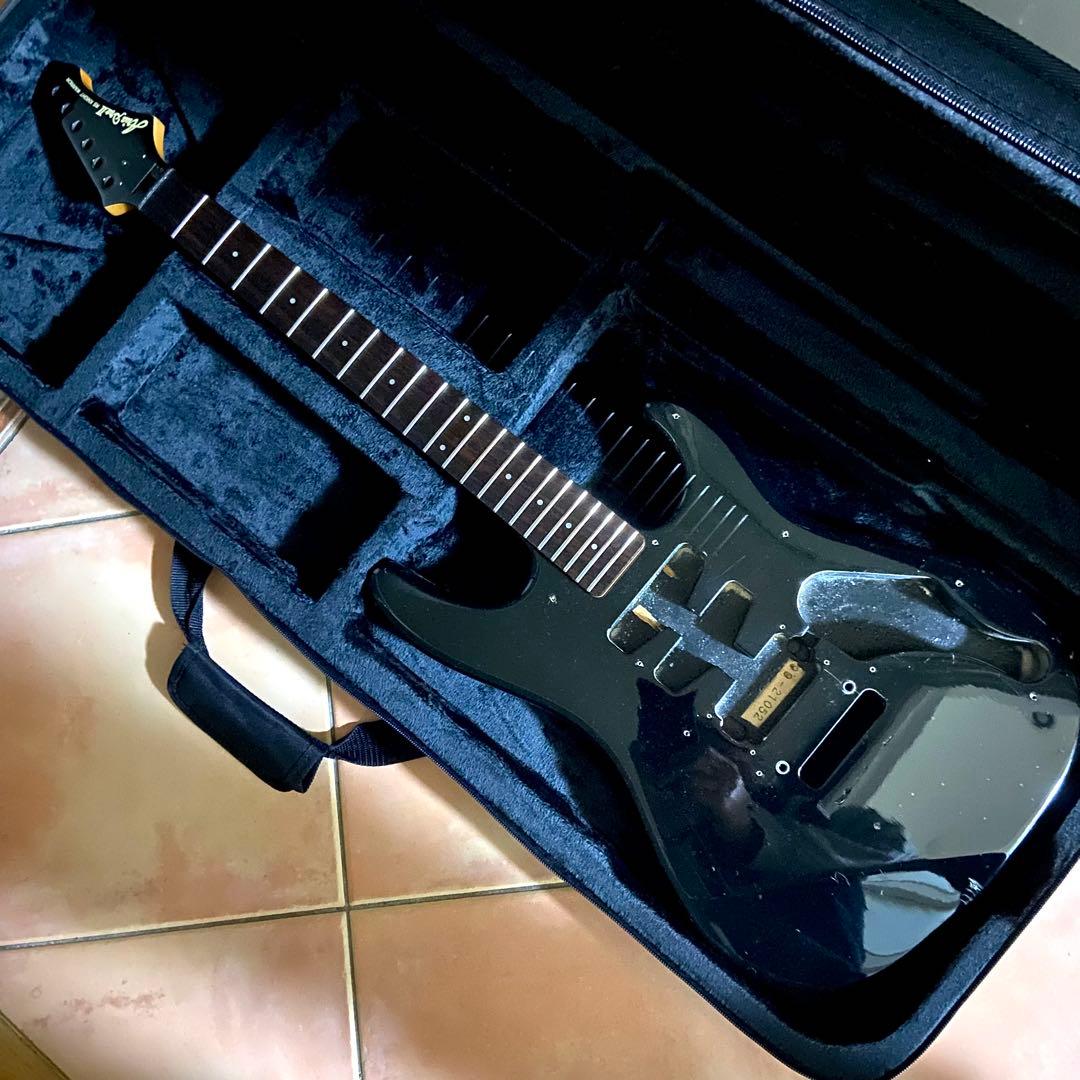 aria pro Ⅱ RS knight warrior 抜け殻 送料無料❗️