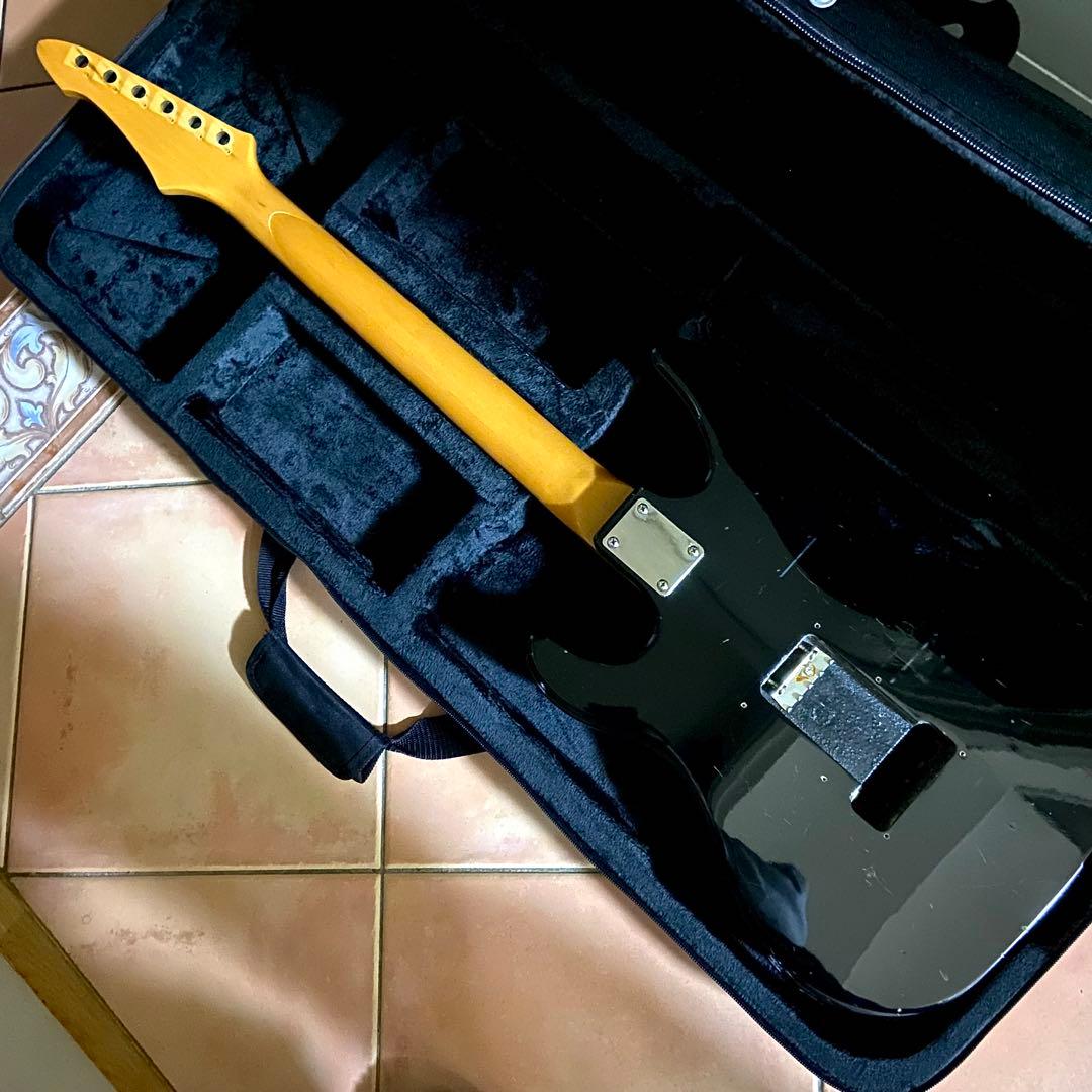 aria pro Ⅱ RS knight warrior 抜け殻 送料無料❗️