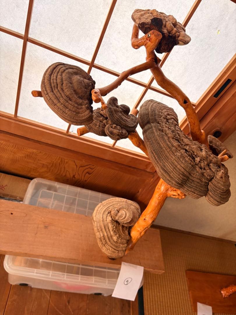 木製アートオブジェ 自然形状