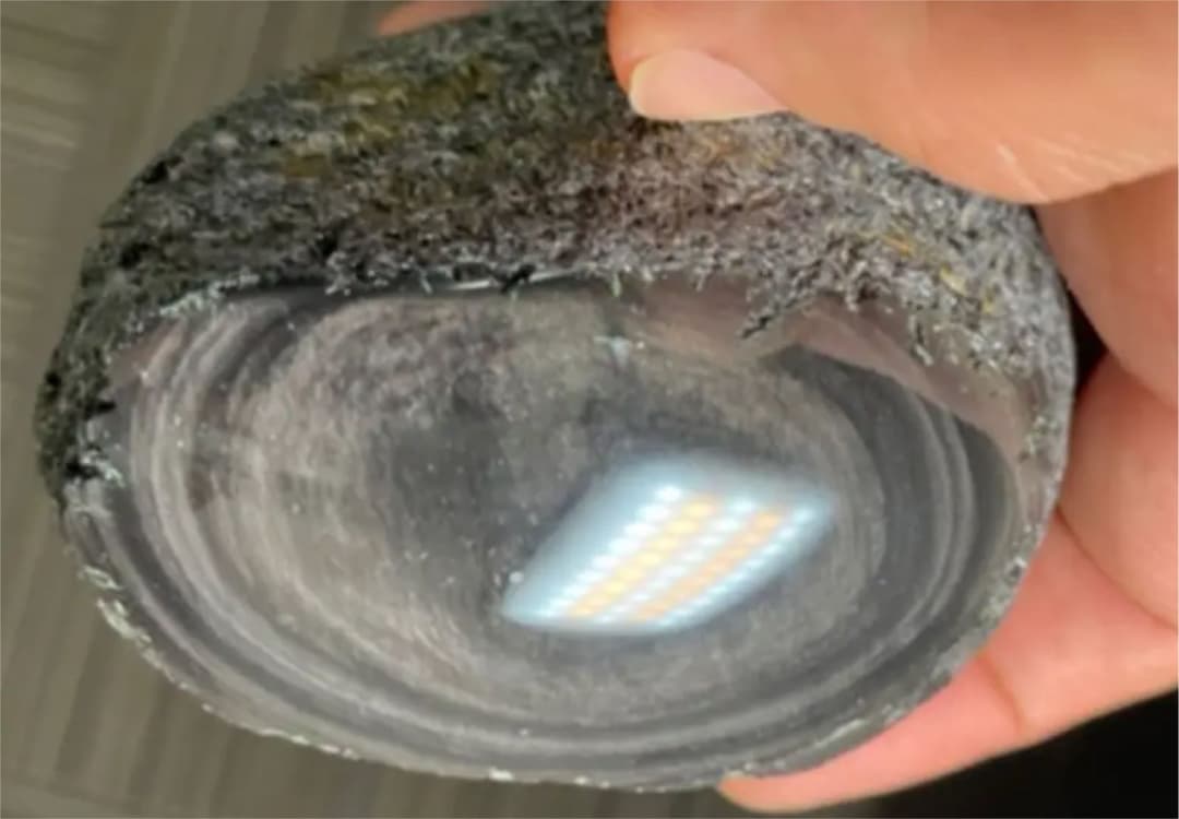 研磨済　十勝石玲瓏　マホガニーオブシディアン　シルバー系ゴールドシラー