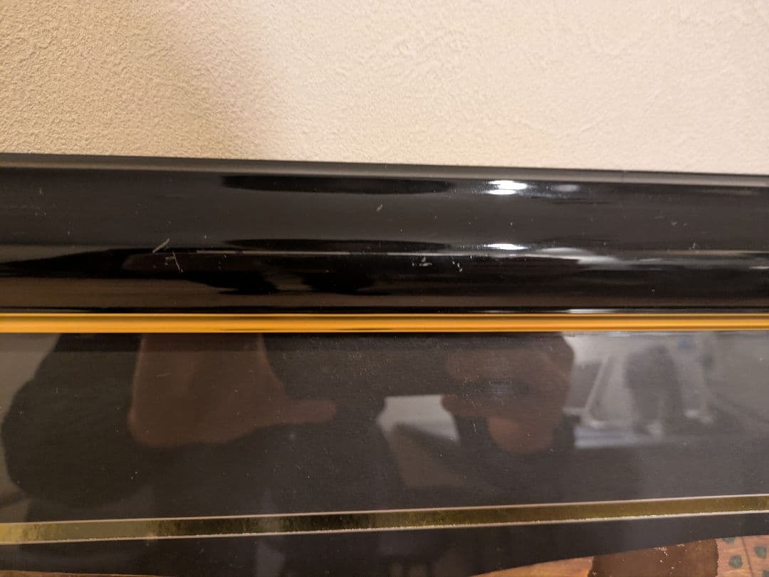 【大型】グスタフ クリムト 水蛇 絵画 複製画