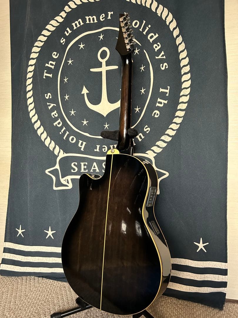 完売❣️売り切れました‼️