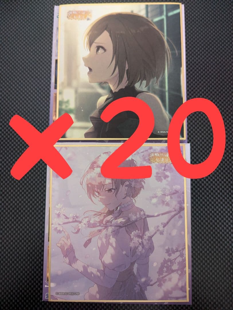 プロセカ 色紙 53a MEIKO 特訓前後セット×20