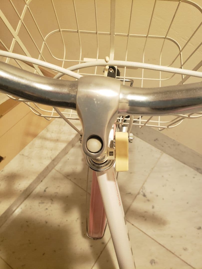 BRIDGESTONE Wild Berry 22\"子供用 【室内保管・直渡し】