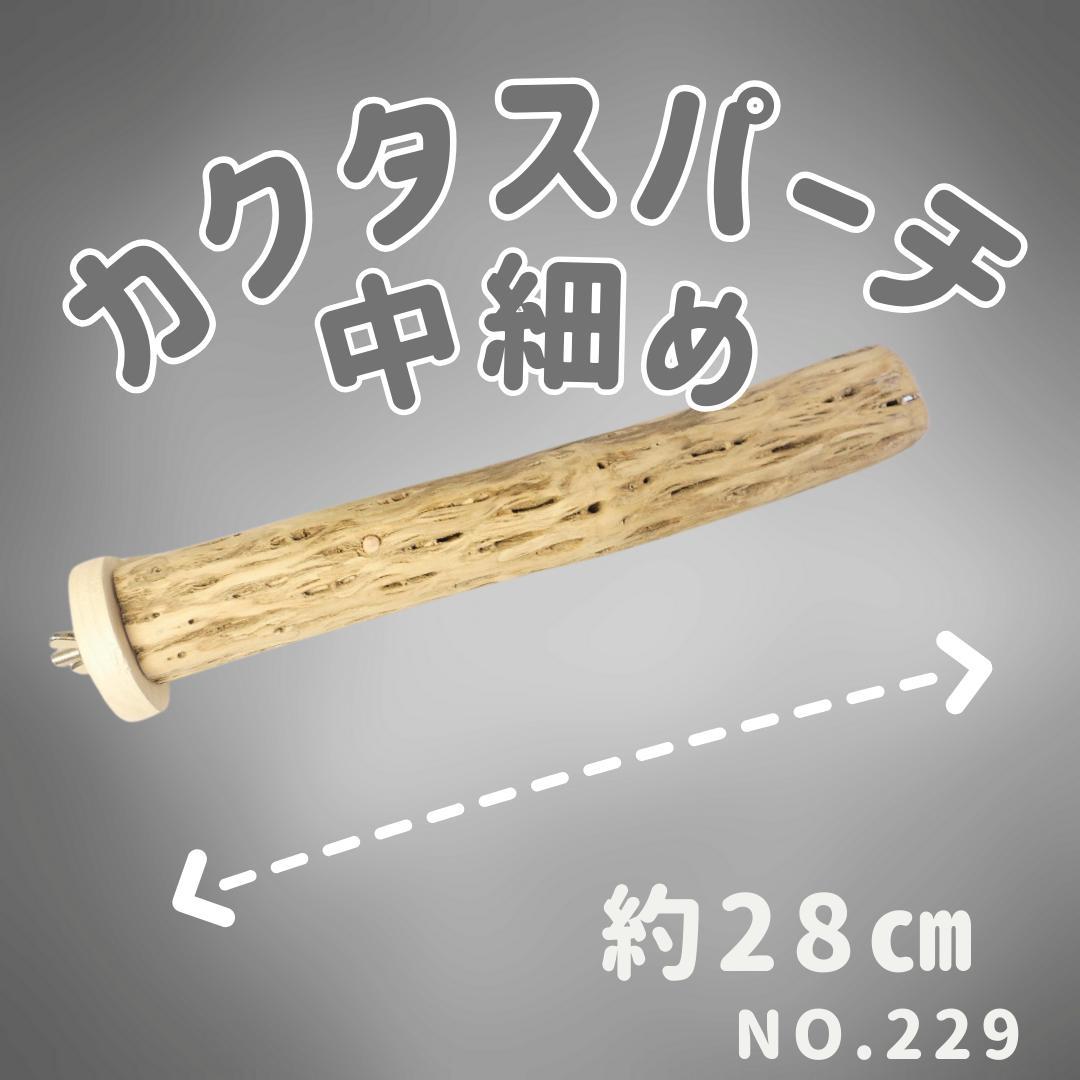 maona　鳥用品　止まり木　カクタス　スケルトン　パーチ　2本おまとめ