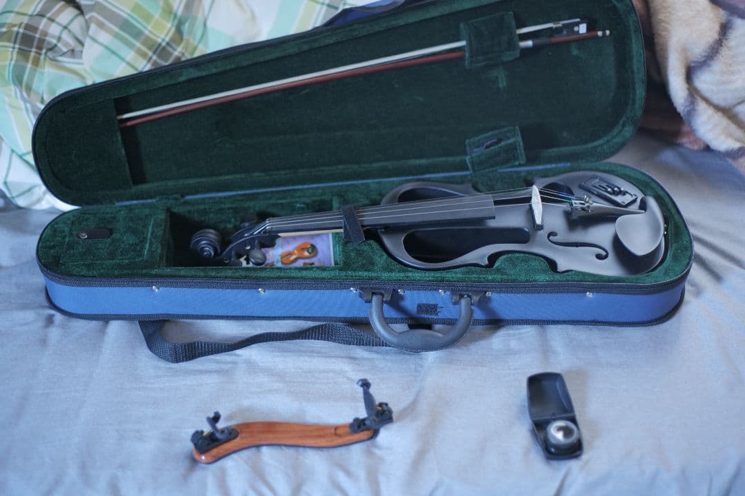 Hallstatt エレキバイオリン