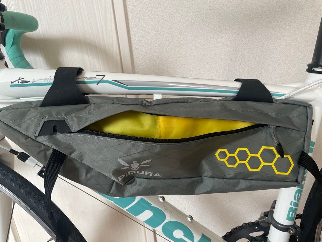 APIDURA フレームバック