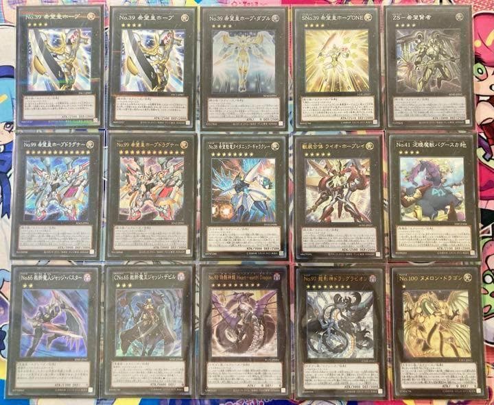 本格構築 【No.99ホープドラグナー】デッキ&エクストラ&二重スリーブ