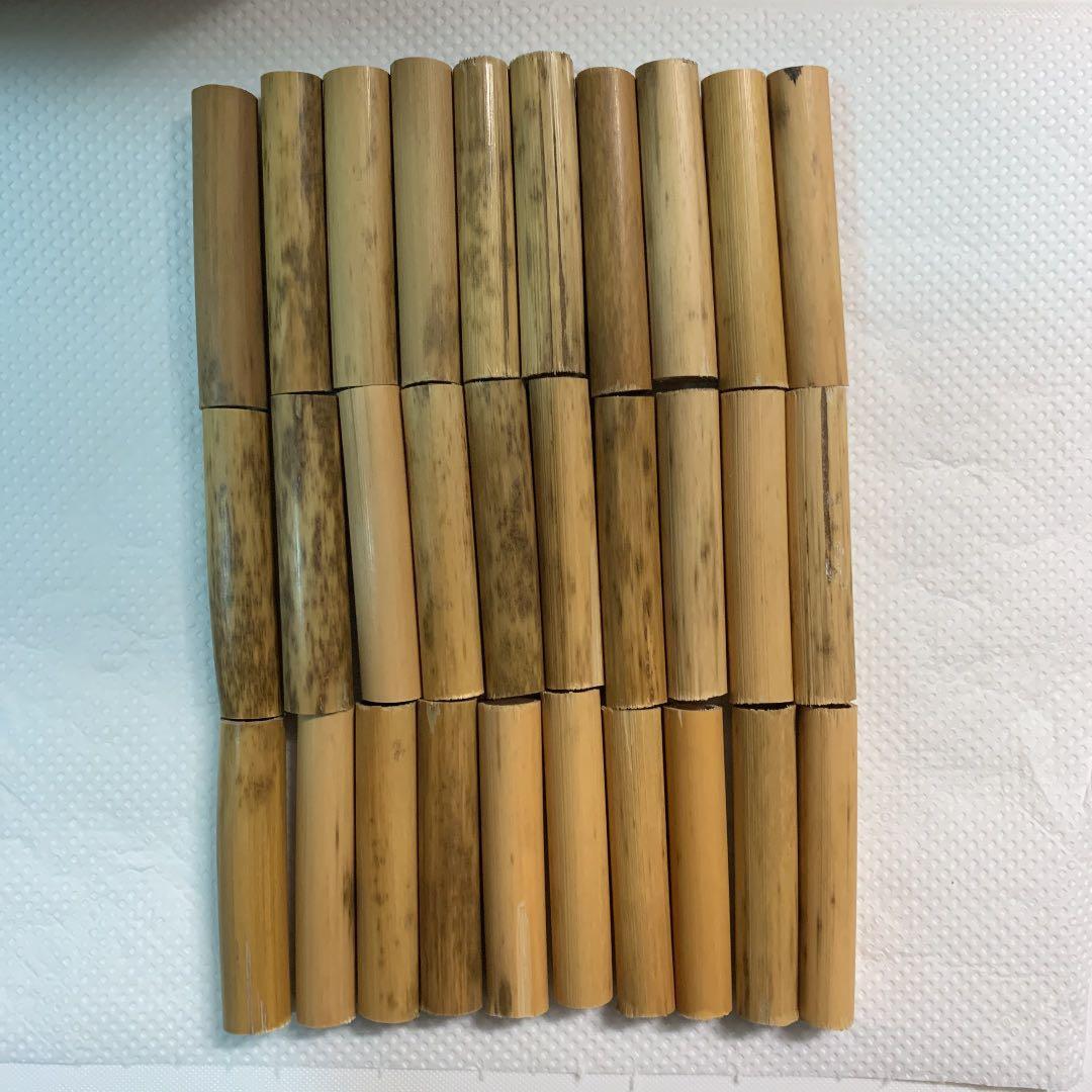 鵜殿産　葦 100本セット