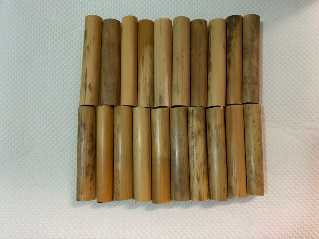 鵜殿産　葦 100本セット