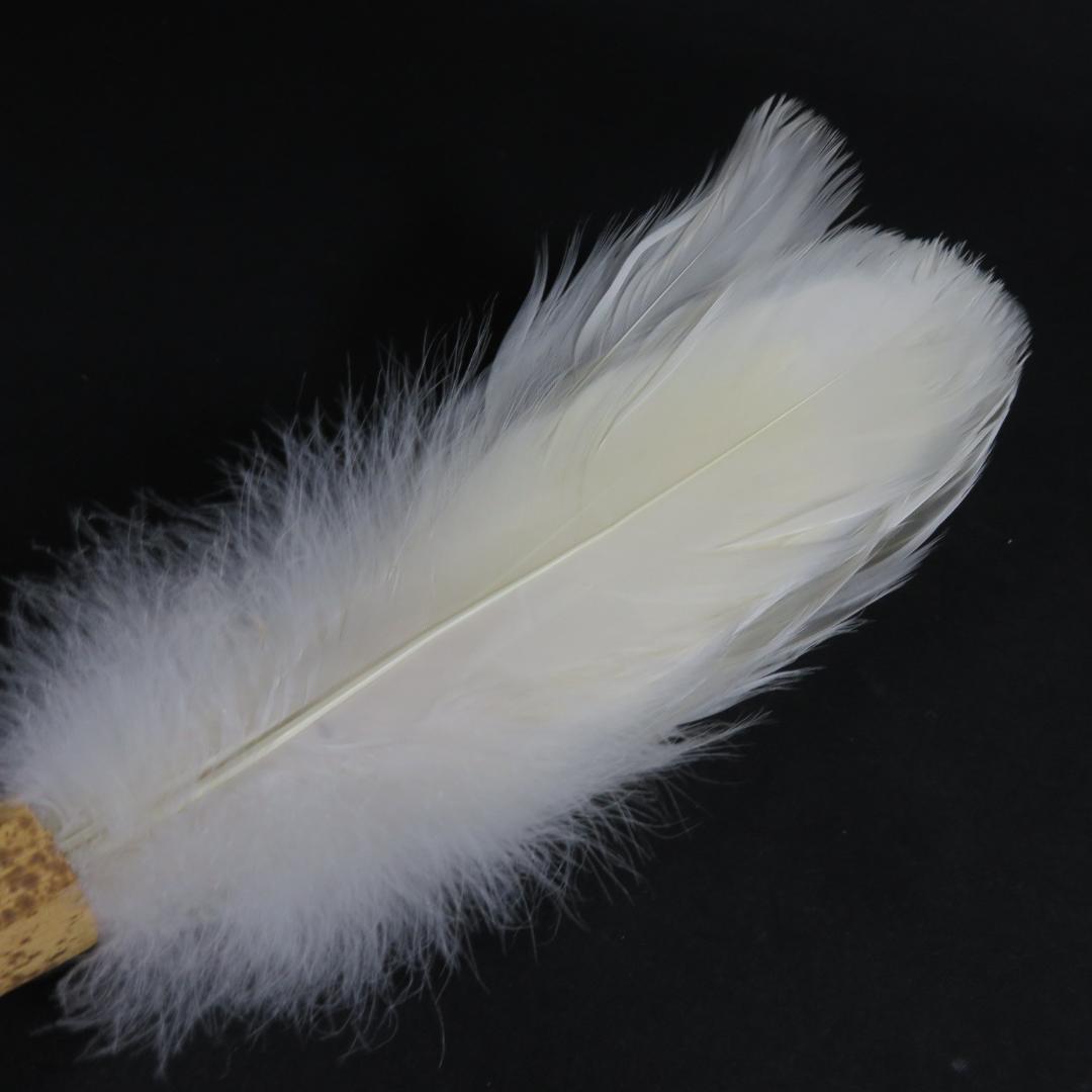 羽箒 羽根 ほうき 白鳥 茶道具 紙箱