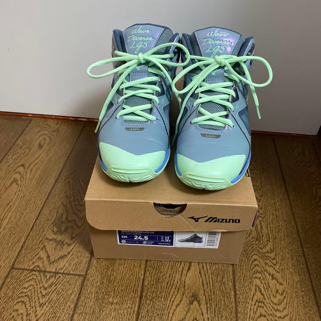 ウエーブダイバースシューズ24.5センチ