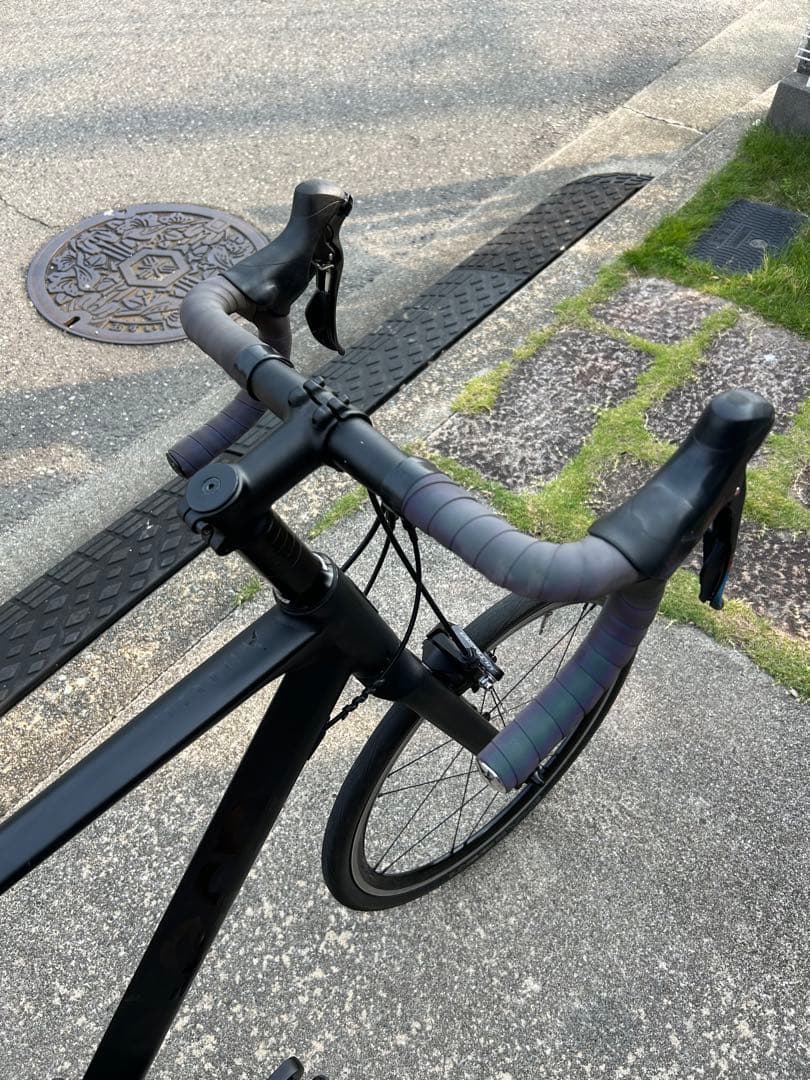 (ともさーもん様)ターン ternサージュ surge 韋駄天 シュワルベワン