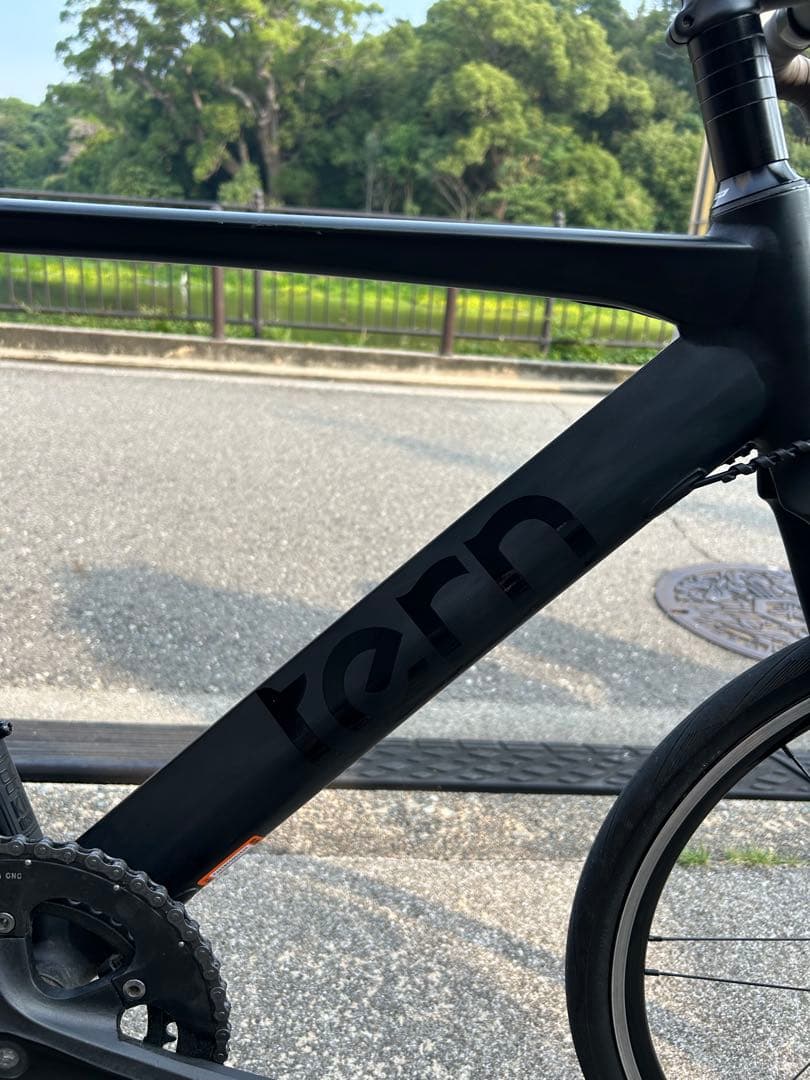 (ともさーもん様)ターン ternサージュ surge 韋駄天 シュワルベワン