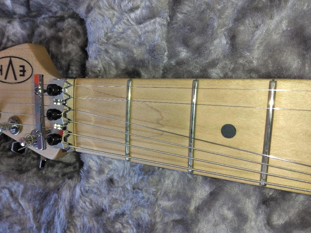 美品中古EVH Striped Series 白黒＋新品Fenderハードケース