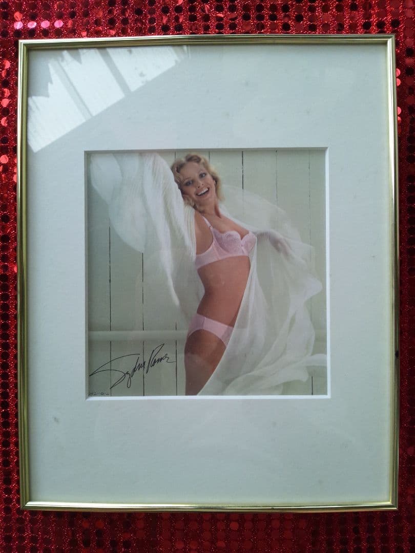 旧 Wacoal Tre'fl 販促用プレート額装品