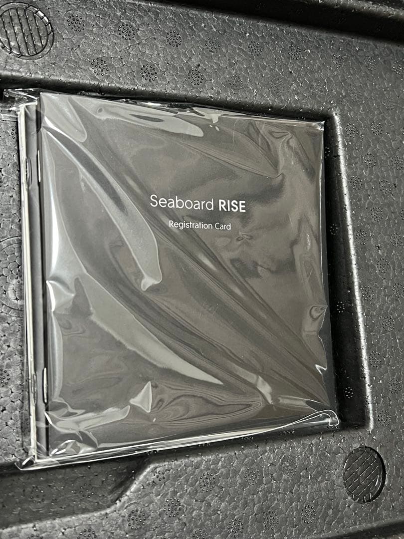 DTM・DAW ROLI Seaboard RISE 25