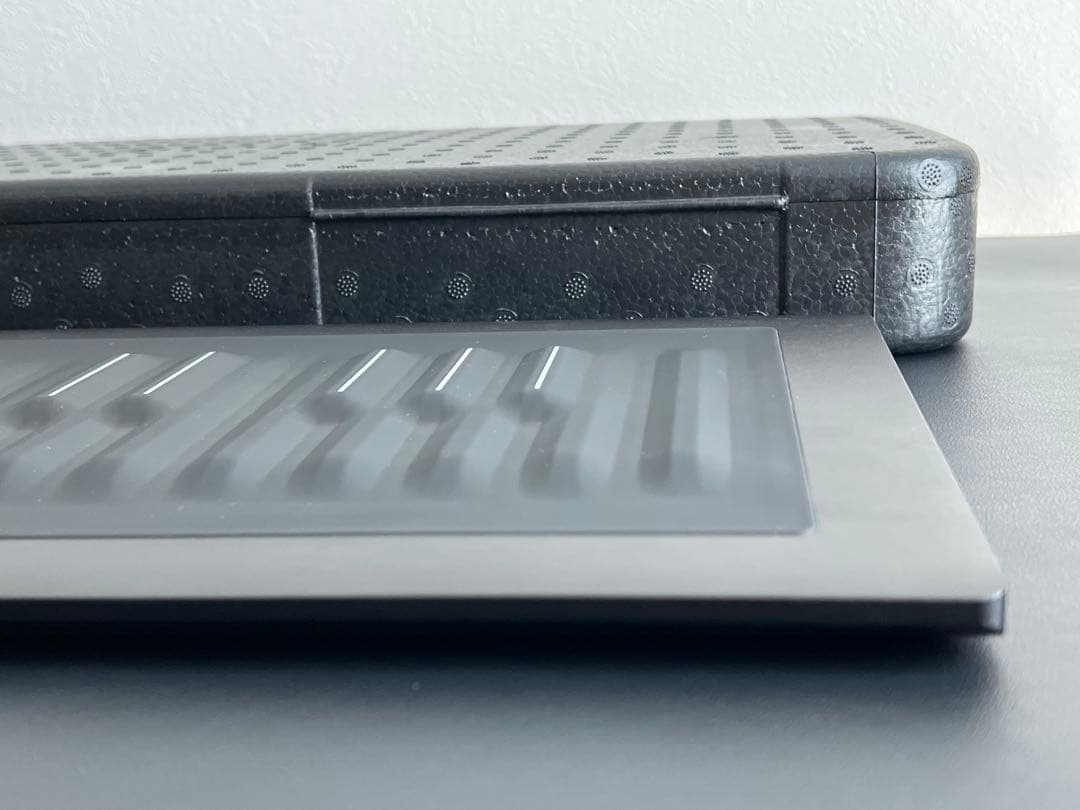 DTM・DAW ROLI Seaboard RISE 25