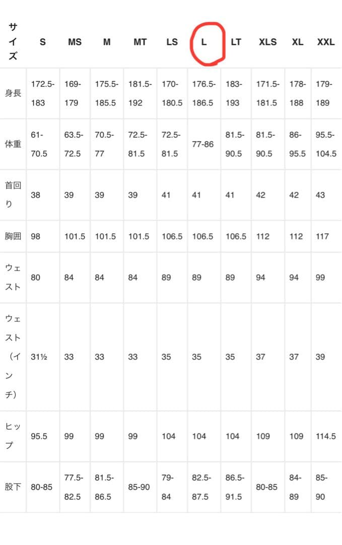 【L】Patagonia ユーレックス　フロントジップ　ロングスリーブ　タッパー