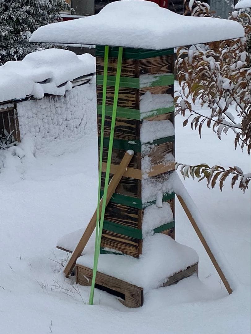 日本蜜蜂重箱式巣箱　捕獲飼育用