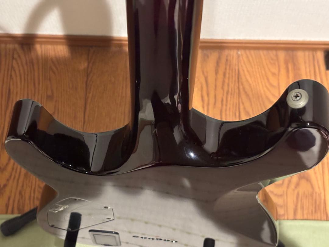 ギター Schecter Hellraiser BCH