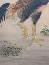 【真作】掛軸　軍鶏図　細密彩色花鳥画　秋の風趣　写実花鳥画　合箱入　T108