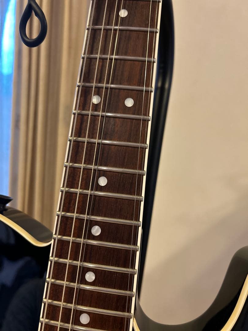 フェルナンデス TEJ サスティナー搭載