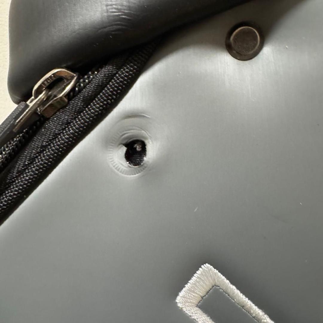 希少 COBRA コブラ キャディバッグ リッキーファウラー サイン