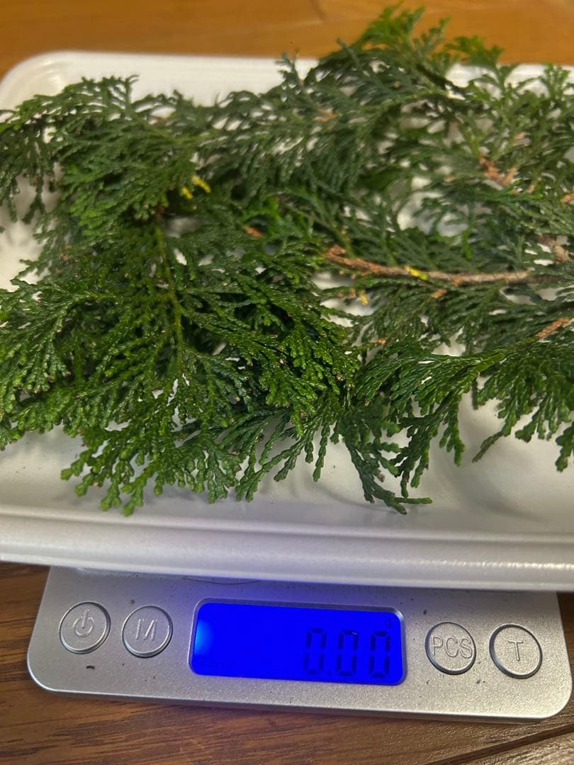 松茸 国産 信州産 長野県産