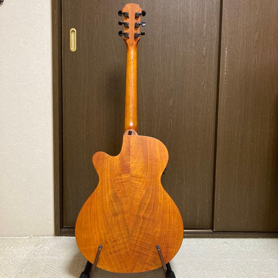 Aria FET-F2 STBR エレアコ