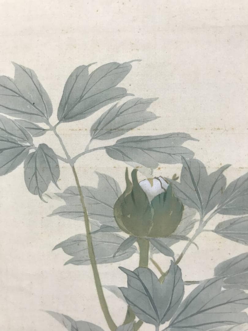 生駒石渓/牡丹に雀図/花鳥図/掛軸/名家伝来/AC-500