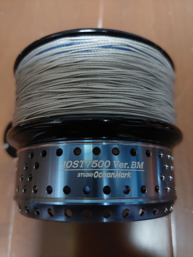 ダイワ 10ソルティガ6500H