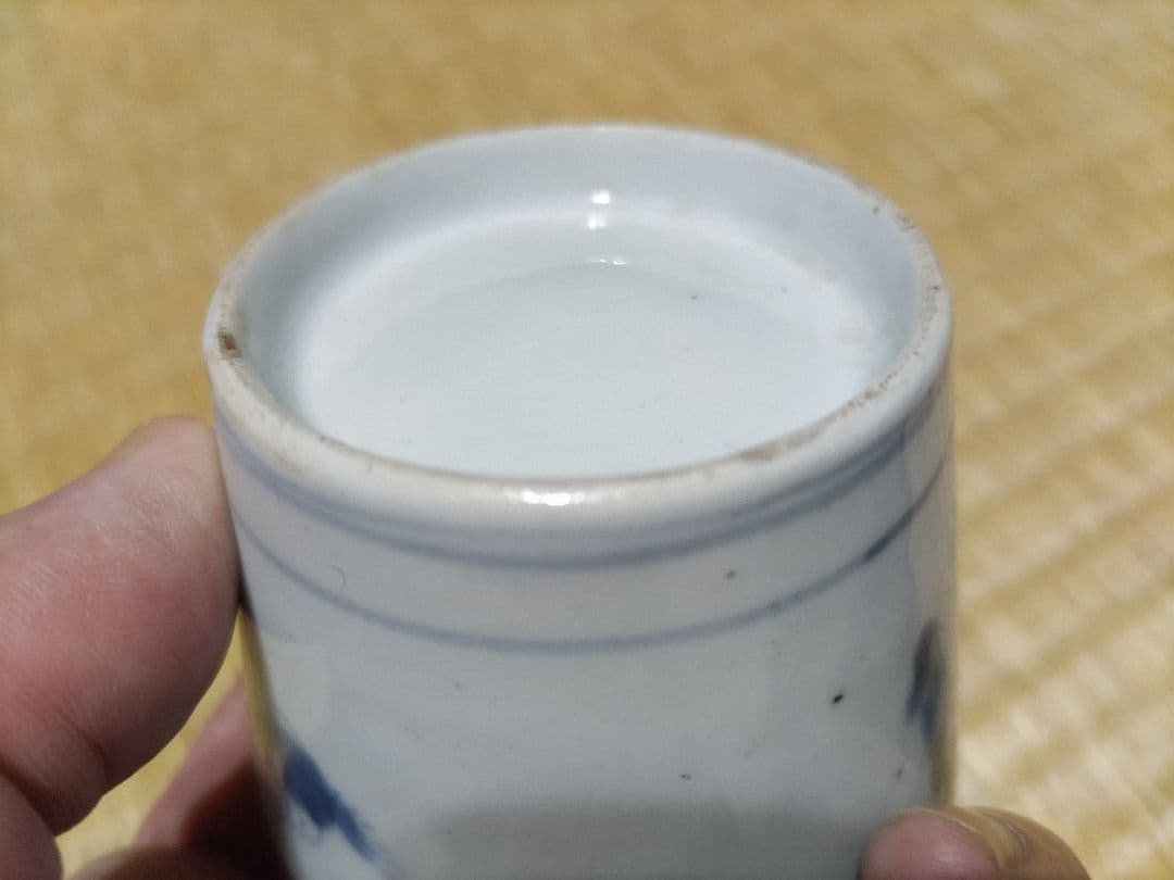 初期様式　そば猪口　鳥に枝垂れ柳　唐辛子かも？美品！古伊万里