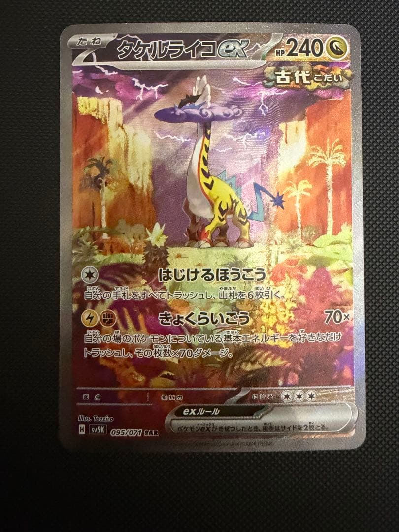 【美品】タケルライコEX 240HP SR