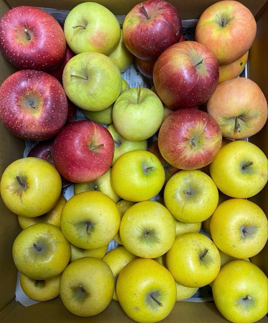 piyo　リンゴ詰め合わせ　20kg