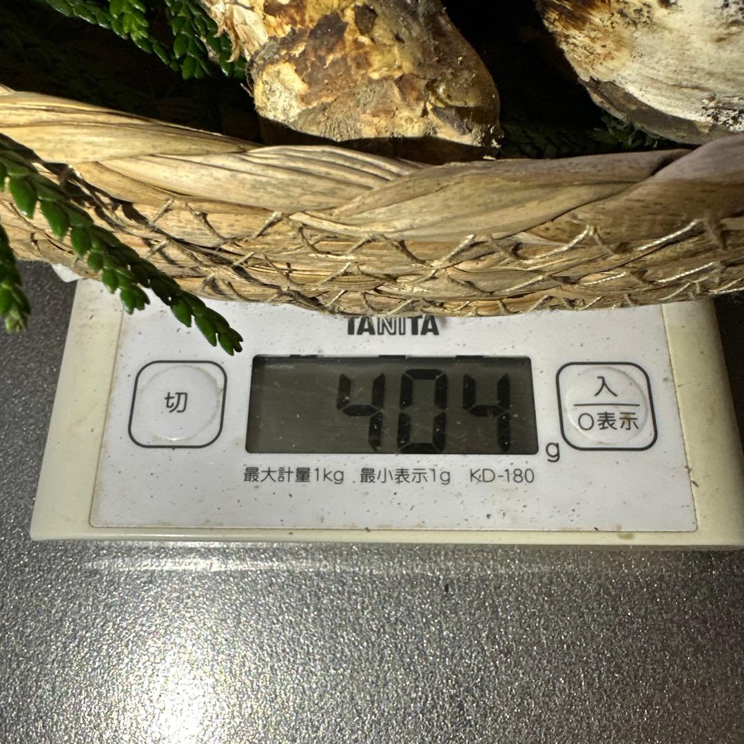 訳あり品‼️国産天然松茸‼️400g‼️