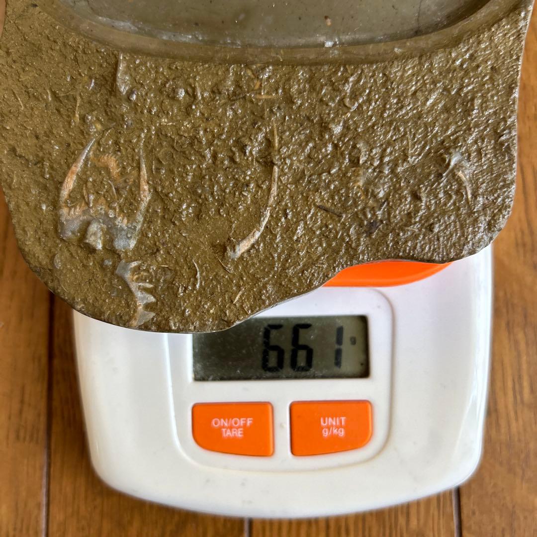 貴重骨董【三葉虫化石硯】化石約２億５１００万年最高級書道具希少珍品新品未使用です