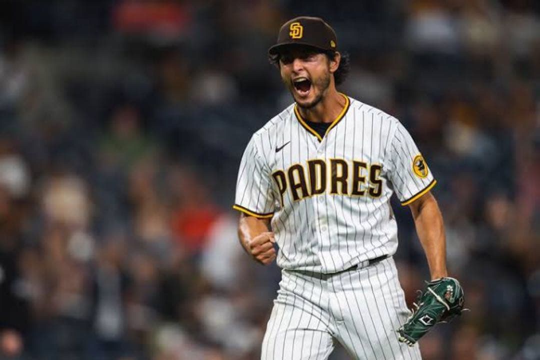 【正規品】ダルビッシュ MLB 公式リミテッドプレイヤージャージ M