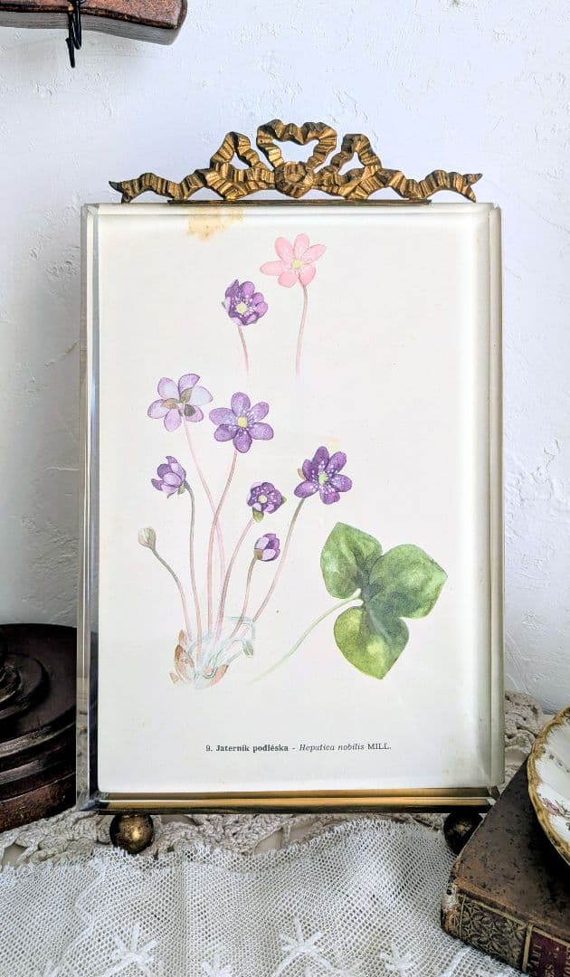 フランス 大きなガラス フォトフレーム ベベルガラス リボン装飾