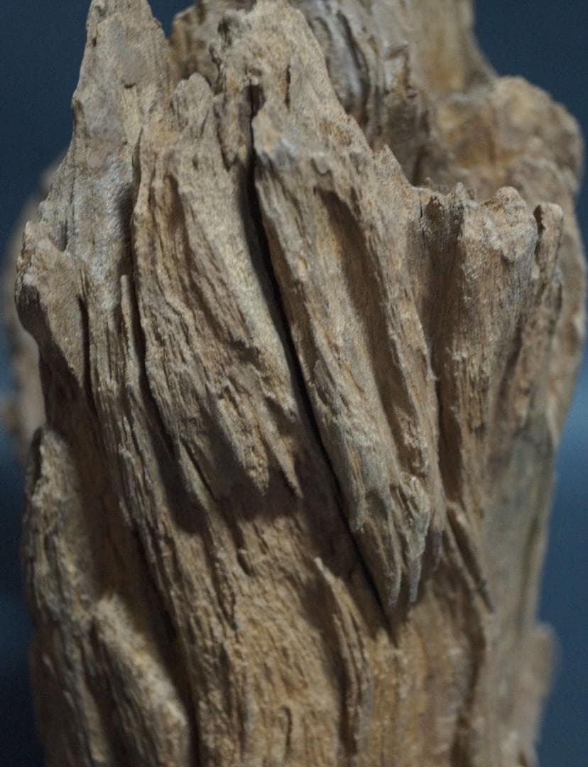 インド産 天然古白檀 特大香木 原木 自然体 山形香木置物 古香木 重量974g