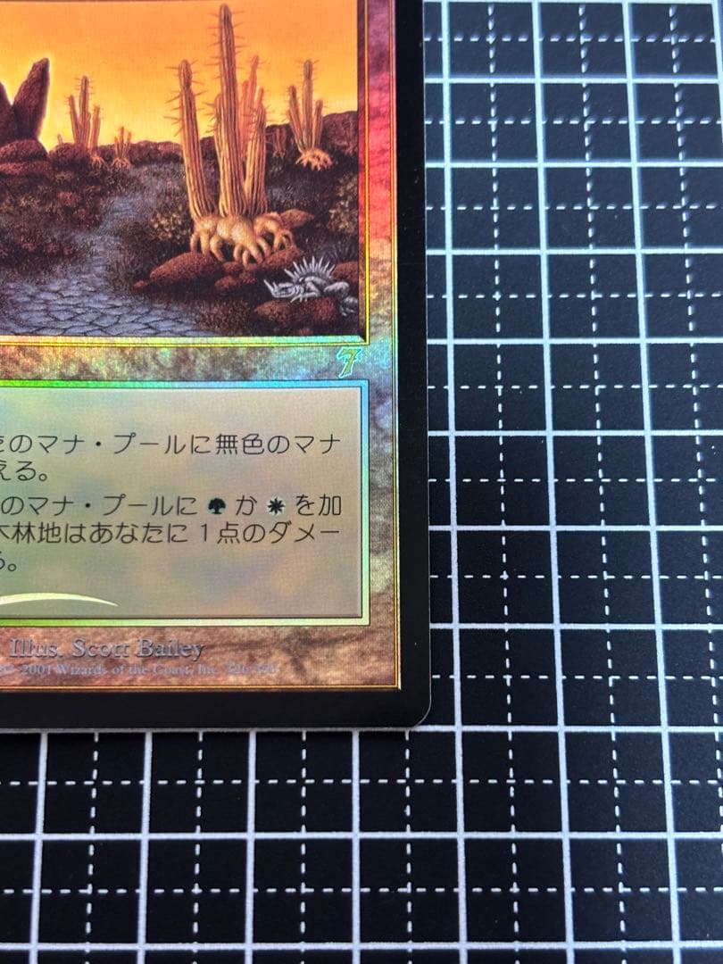 【美品】MTG 低木林地 7版 日本語 ホイル Foil マジックザギャザリング