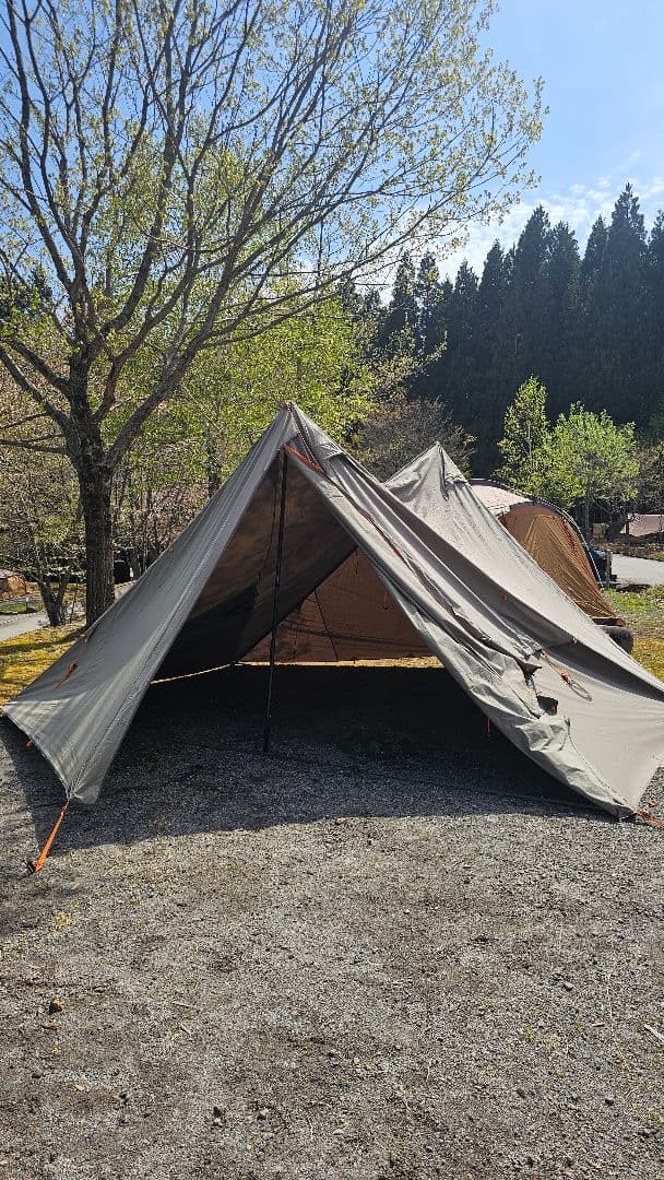 ニーモ　ヘキサライト　エレメント6P