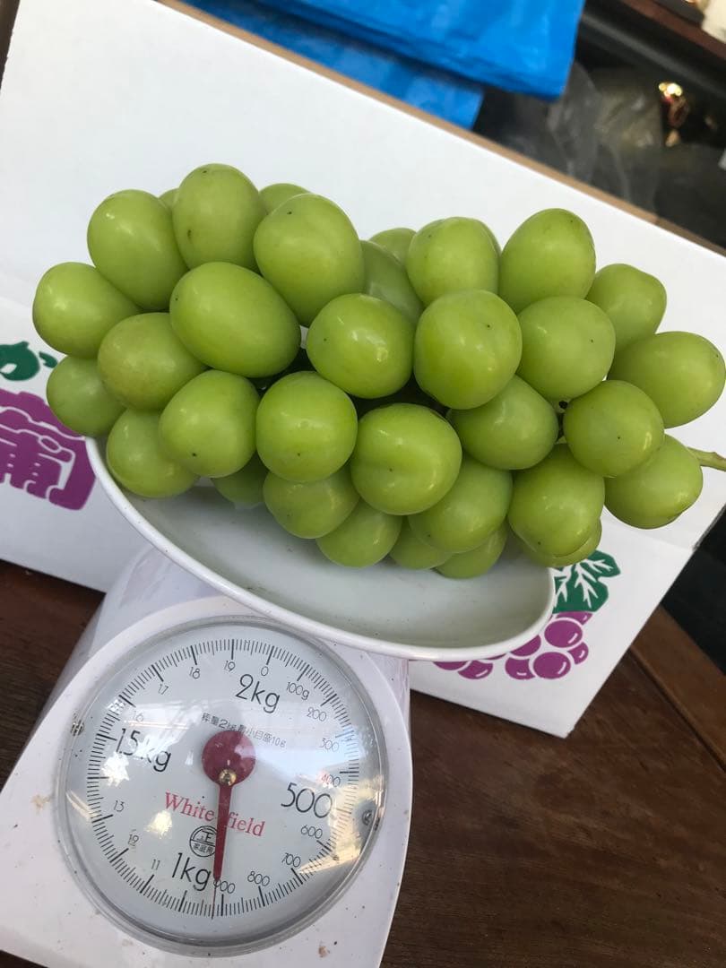 山梨県 勝沼産　シャインマスカット　5K 残り1箱