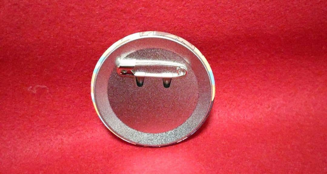 REBORN リボーン 沢田綱吉 アトレ 缶バッジ atre