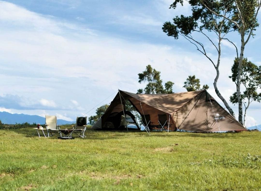 【新品未使用】 peak TP-820 ランドステーションL