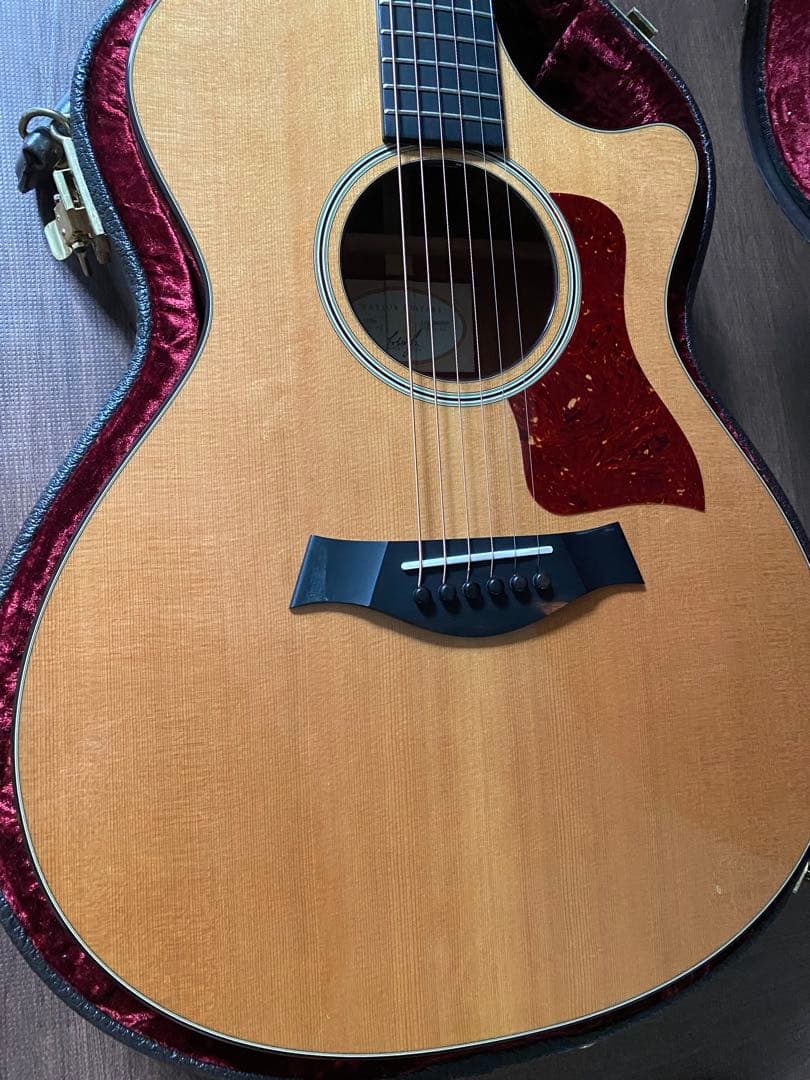 Taylor 512ce selected by koeido 光栄堂
