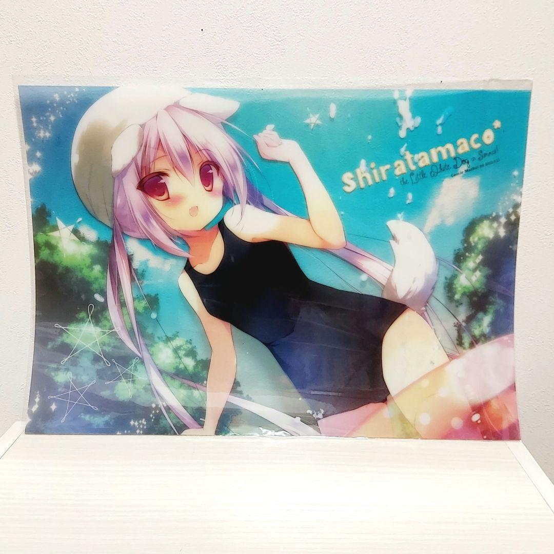 しらたまこ しろいいぬ　A3クリアハードポスター　C84　しらたま