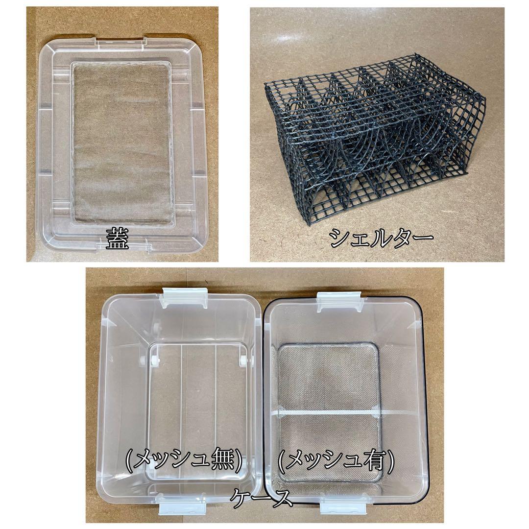 マレ様　M(フル)(デュ)