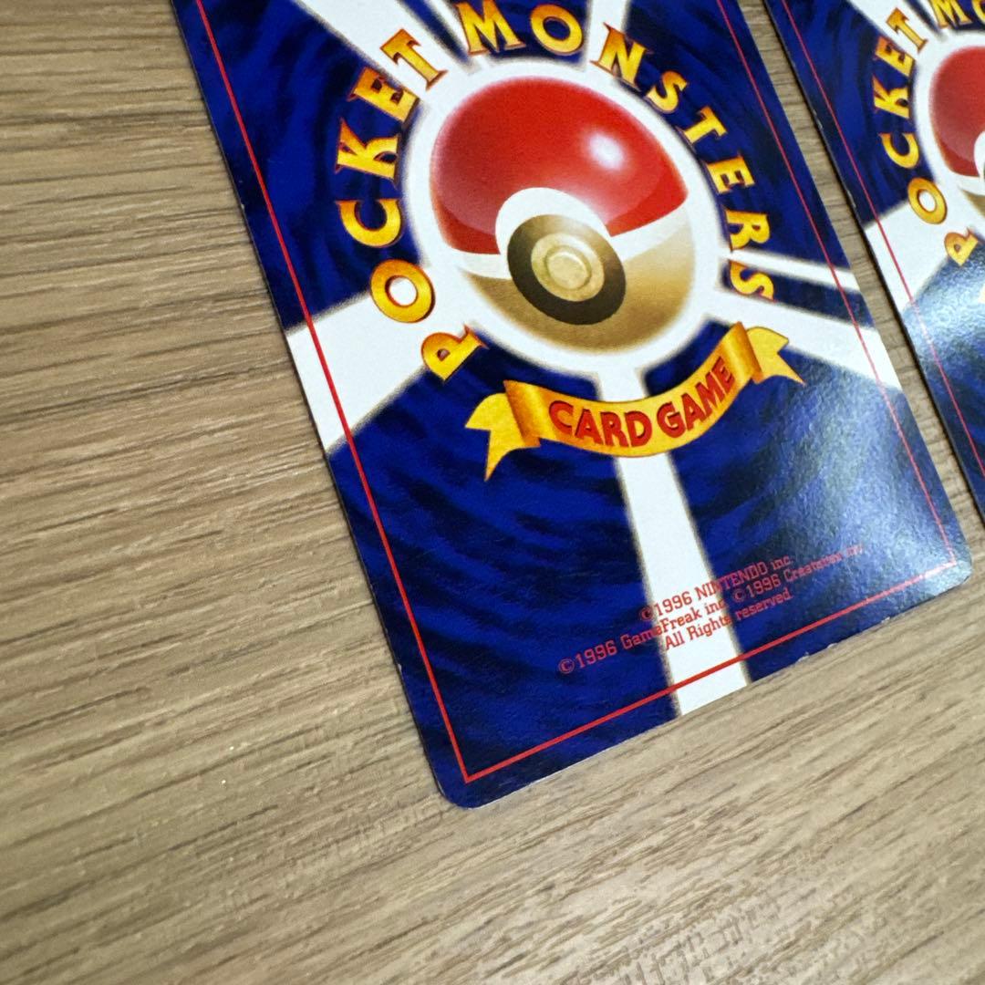 ゼニガメ、カメール イントロパック【5436